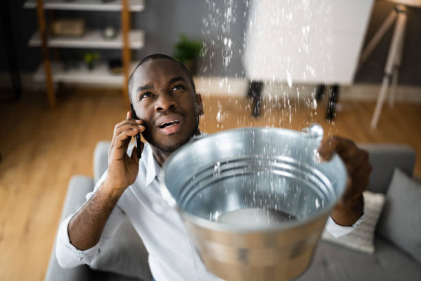 Best Carpet water damage restoration  in Buzzards Bay, MA