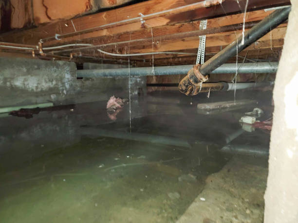 Best Basement water damage restoration  in Buzzards Bay, MA