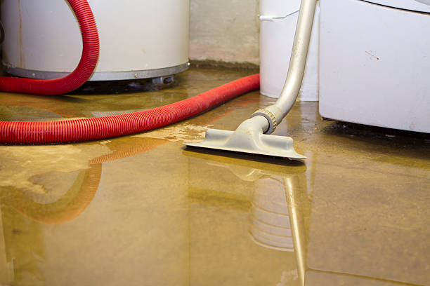 Best Local water damage restoration  in Buzzards Bay, MA