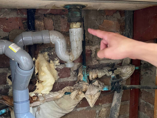 Best Mold removal after water damage  in Buzzards Bay, MA